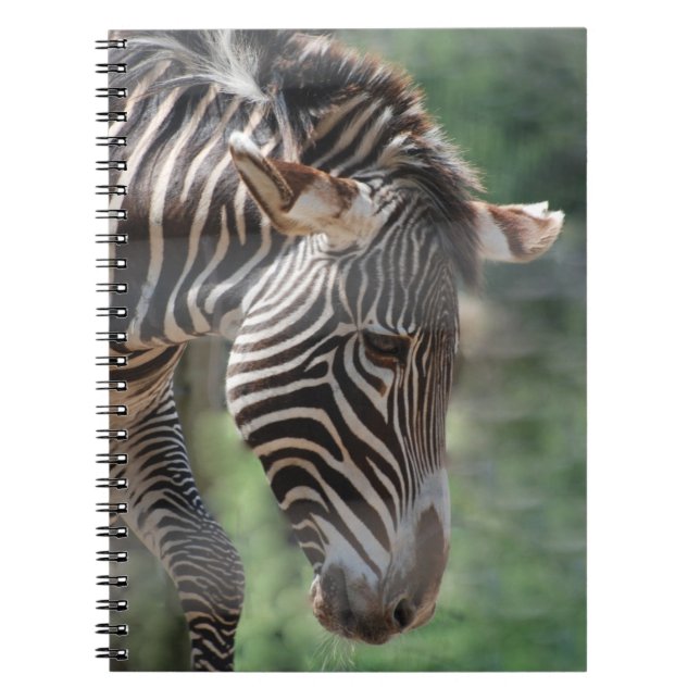 Loveable Zebra Notebook (Front)