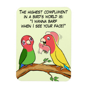 Lovebird parrot and bird way telling i love you magnet