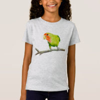 Lovebird