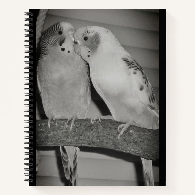 Lovebirds  notebook (Front)