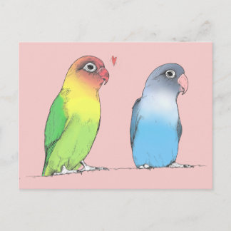 Lovebirds of a Different Colour Postcard