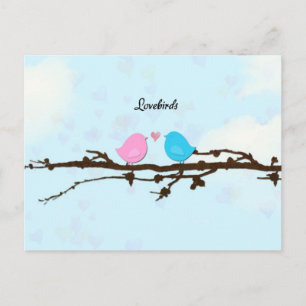 Lovebirds Postcard