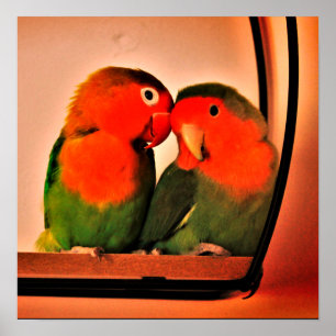 Lovebirds poster