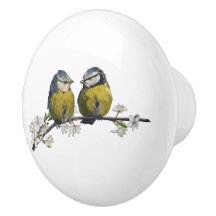 Lovebirds sitting on a cherry blossom branch white