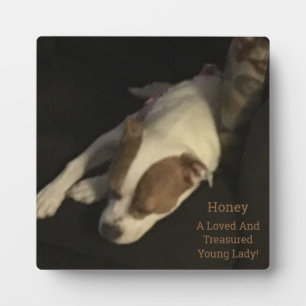 Loved And Treasured, Pet Photo Typography Plaque