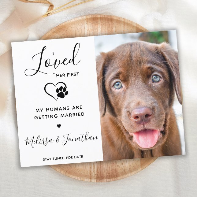 Loved Her First Modern Pet Wedding Dog Engagement Announcement Postcard (Creator Uploaded)
