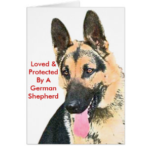Loved & Protected By A German Shepherd