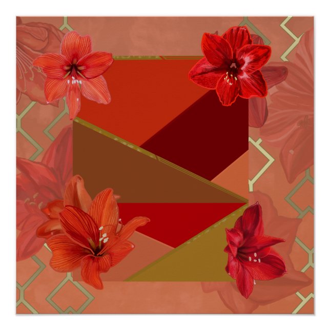 Lovely Amaryllis Flowers Poster (Front)