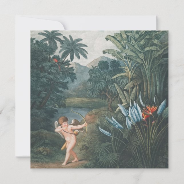 Lovely Angel Print, Value Poster Paper (Matte) Pos (Front)