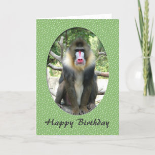 Lovely animal  baboon happy birthday card