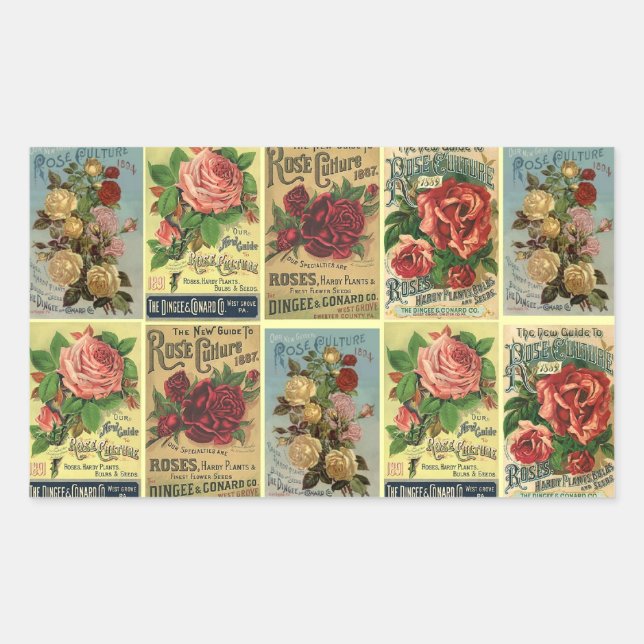 Lovely Antique Heirloom Rose Catalogues Flowers Rectangular Sticker (Front)