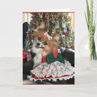 Lovely Bella Shares a Holiday smile Card