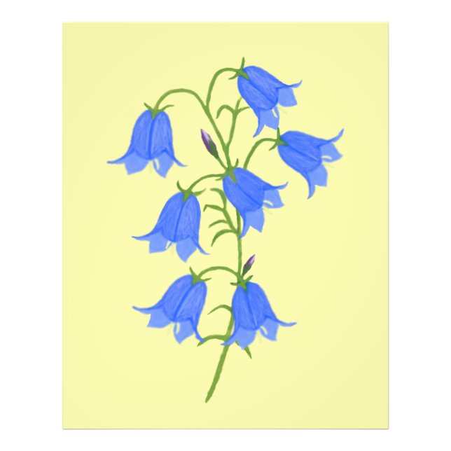 Lovely Bluebells Photo Print (Front)