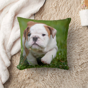 Lovely Bulldog Puppy Pillow