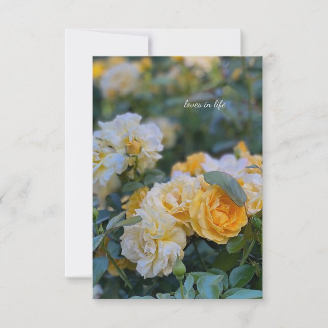 Lovely Bunches of Yellow Roses Card (Front)