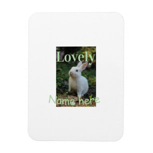 Lovely bunny rabbit pet photo name green pastel magnet