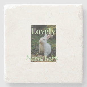 Lovely bunny rabbit pet photo name green pastel stone coaster
