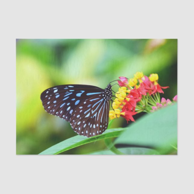 Lovely Butterfly And Flowers Tissue Paper (Front)