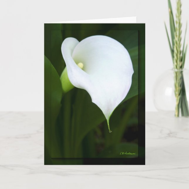 Lovely calla lily card (Front)