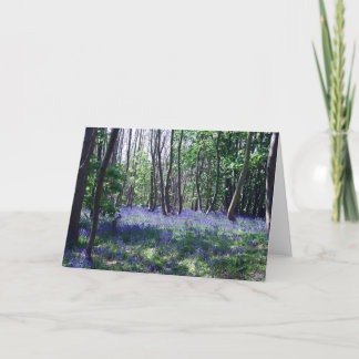 Lovely card for any occasion.