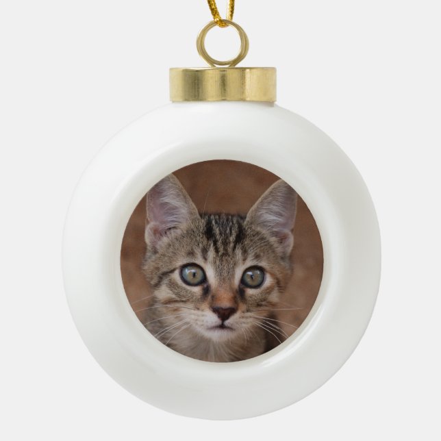 Lovely Cat Ceramic Ball Christmas Ornament (Front)