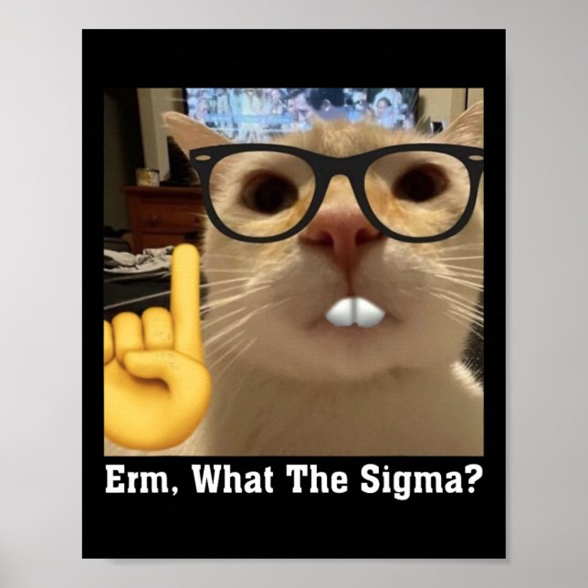 Lovely Cat Meme Clic Art Cute Kitten Erm  Poster (Front)