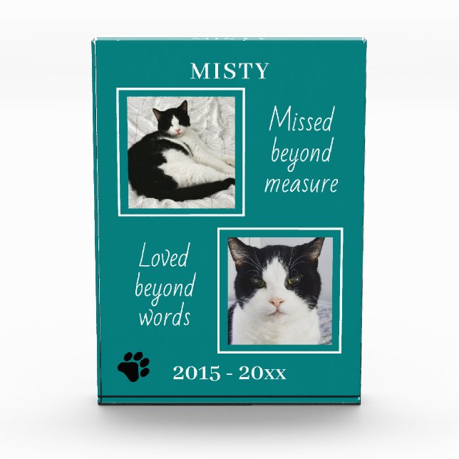 Lovely Cat Memorial Missed Beyond Measure Jade Photo Block (Front)