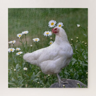 Lovely Chicken and Daisies Jigsaw Puzzle