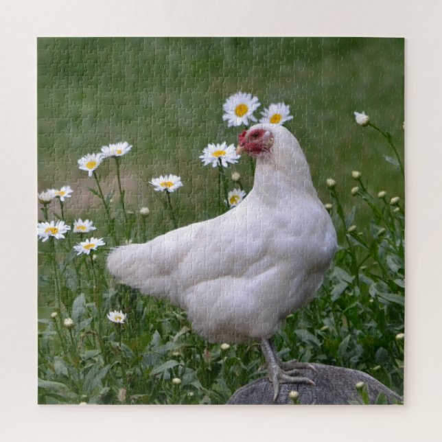 Lovely Chicken and Daisies Jigsaw Puzzle (Vertical)