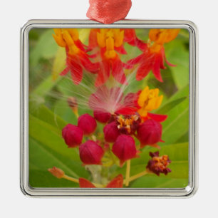 Lovely Colourful Floral with Milkweed Art Print Metal Tree Decoration