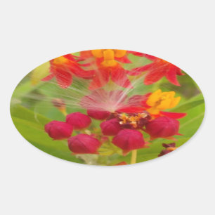 Lovely Colourful Floral with Milkweed Art Print Oval Sticker