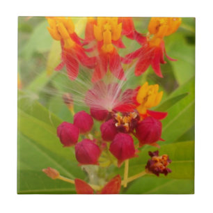 Lovely Colourful Floral with Milkweed Art Print Tile