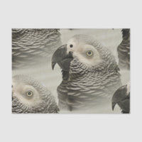 Lovely Congo African Grey Parrot