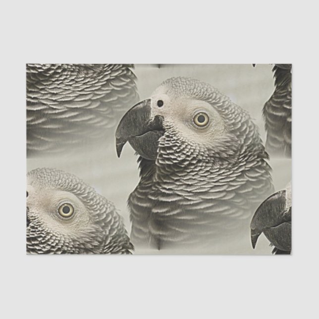 Lovely Congo African Grey Parrot Tissue Paper (Front)