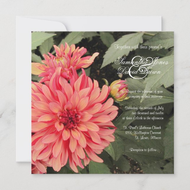 Lovely Coral Dahlia Wedding Invitation (Front)