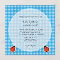 Lovely country style plaids and lady bugs wedding