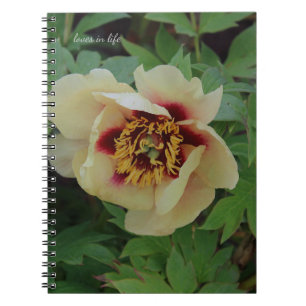 Lovely Cream Yellow Peony Notebook