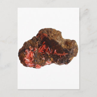 Lovely Crocoite Crystals ! Postcard