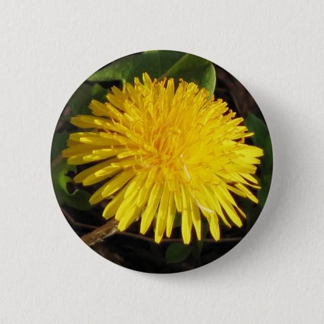 Lovely Dandelion 6 Cm Round Badge (Front)