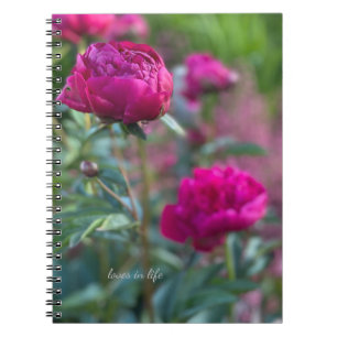 Lovely Deep Pink Garden Peonies Notebook