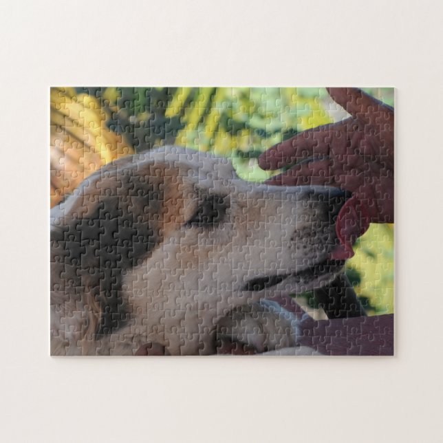Lovely Dog – Playing with her Owner Photo Puzzle (Horizontal)