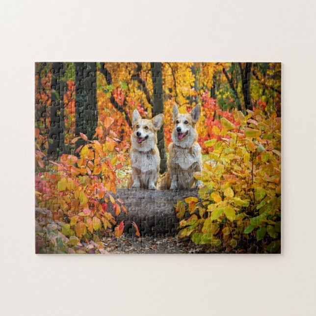 lovely dogs jigsaw puzzle (Horizontal)