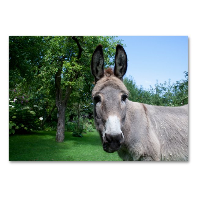 Lovely Donkey Portrait Table Number (Front)