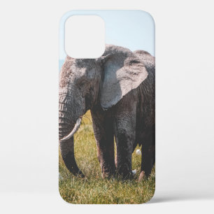 LOVELY ELEPHANT iPhone 12 CASE