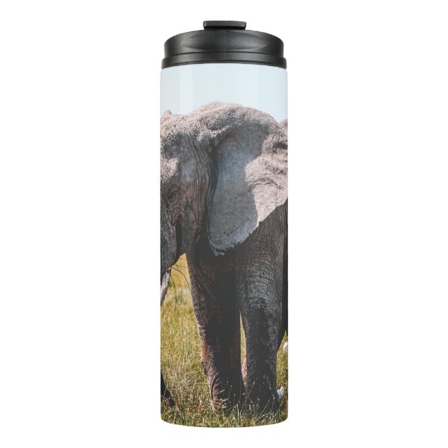 LOVELY ELEPHANT THERMAL TUMBLER (Front)