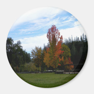Lovely Fall Day... Magnet