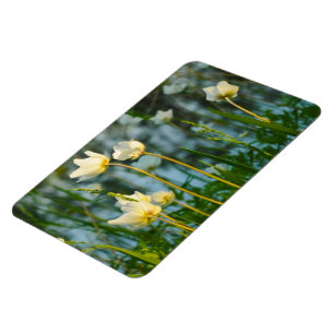 LOVELY FLORAL MAGNET