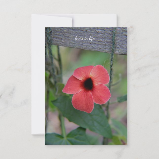 Lovely Garden Vine  Card (Front)