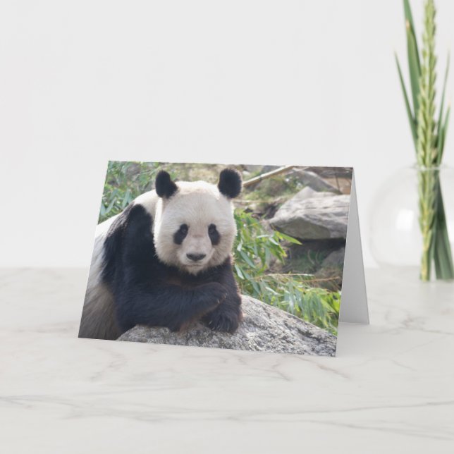 Lovely Giant Panda Card (Front)
