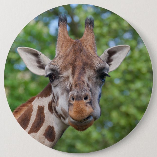 Lovely Giraffe Portrait 6 Cm Round Badge (Front)
